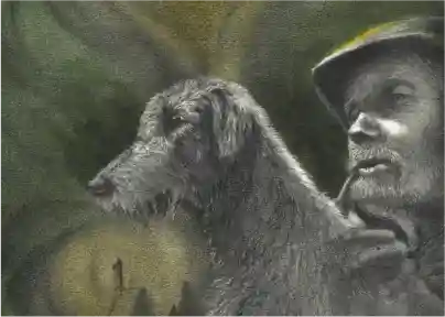 Festival Cultural San Patricio México 2016