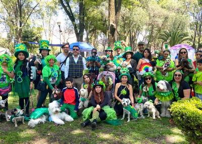 Festival Cultural San Patricio México 2020
